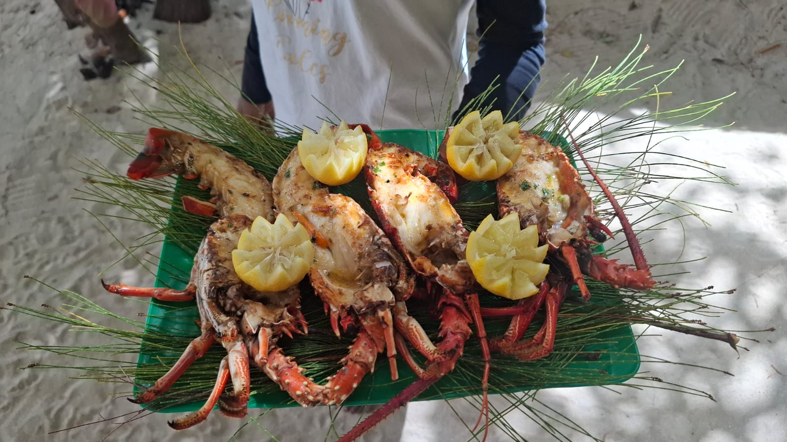 Southeast Cruises Adventure 4