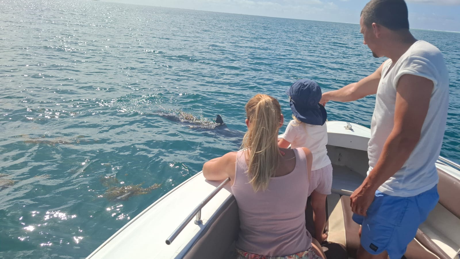 Southeast Cruises Adventure 11