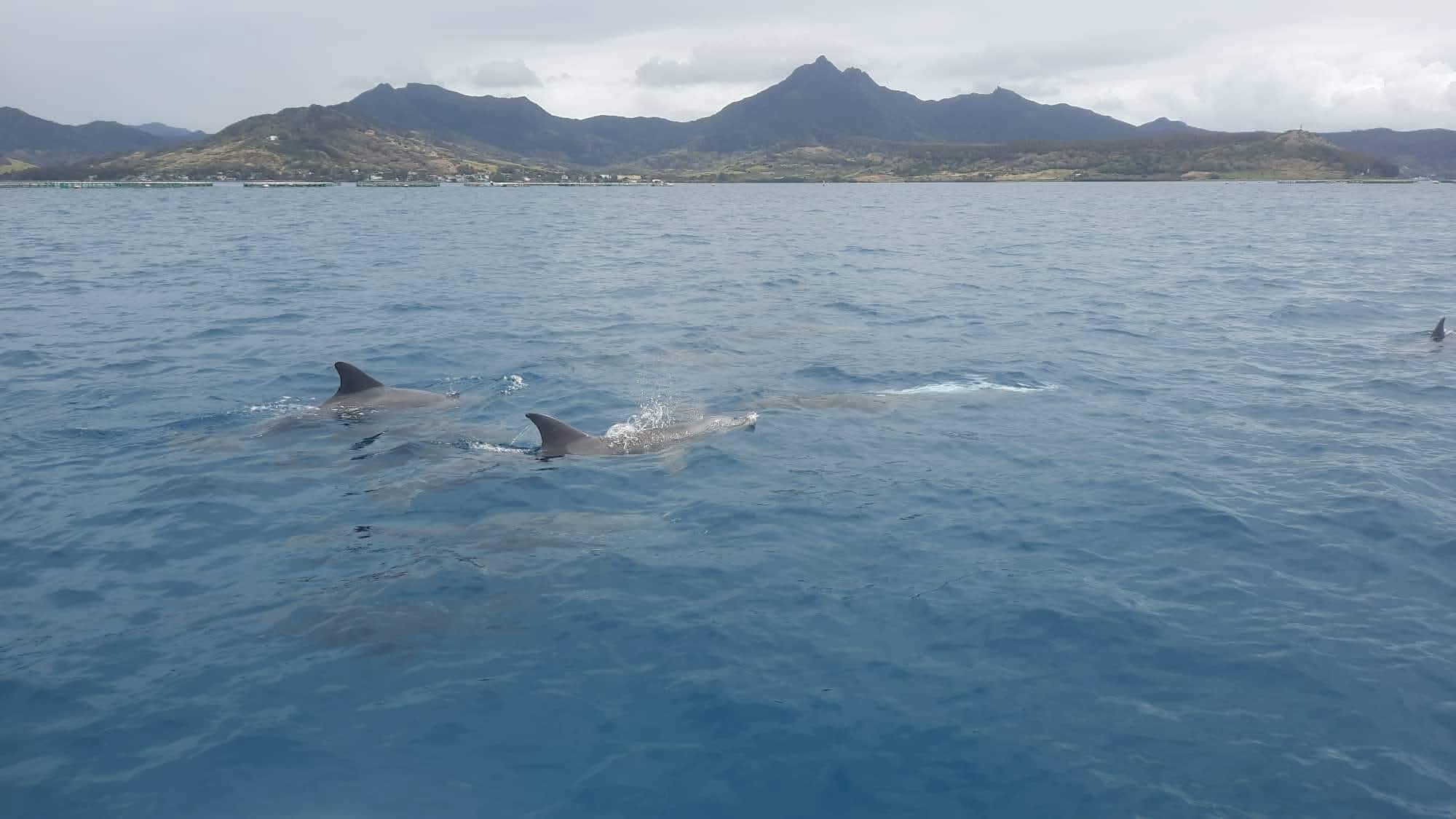 Southeast Cruises Adventure 30