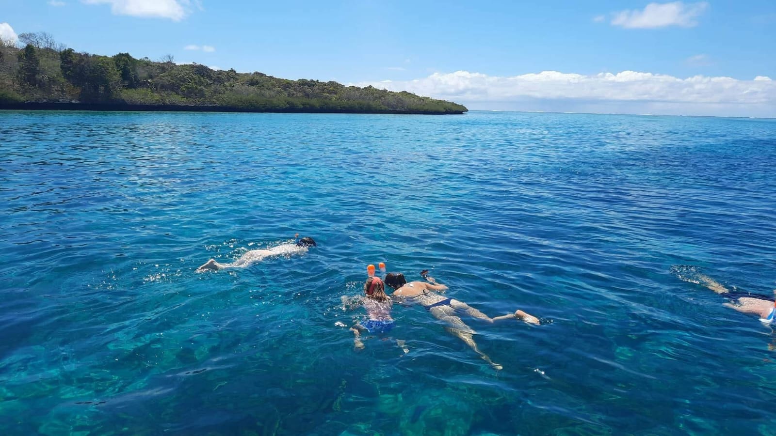 Southeast Cruises Adventure 31