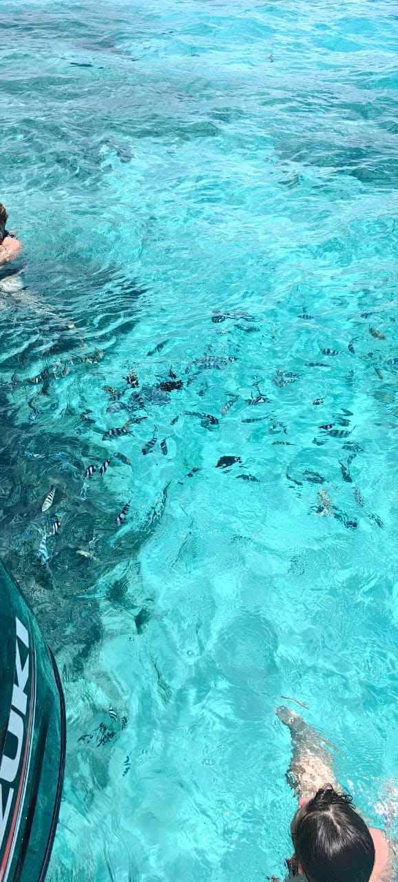 Southeast Cruises Adventure 38