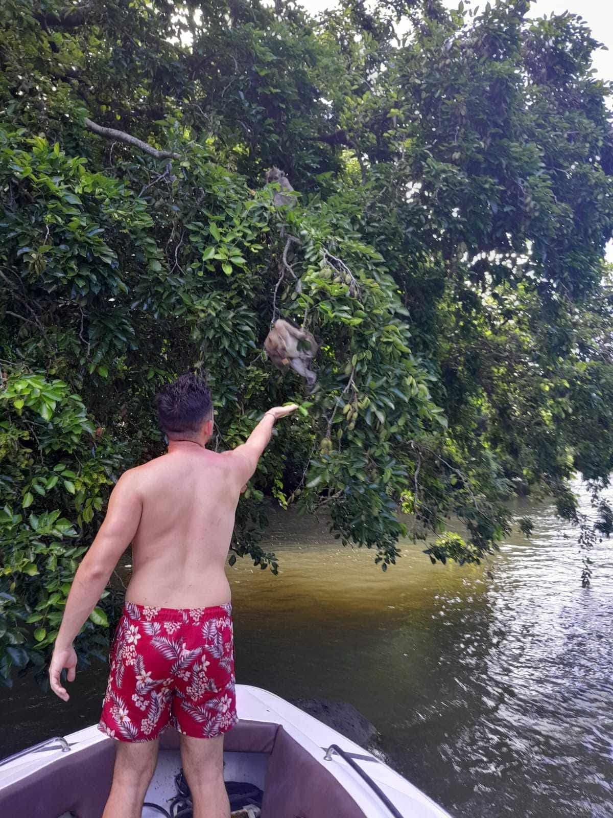 Southeast Cruises Adventure 41