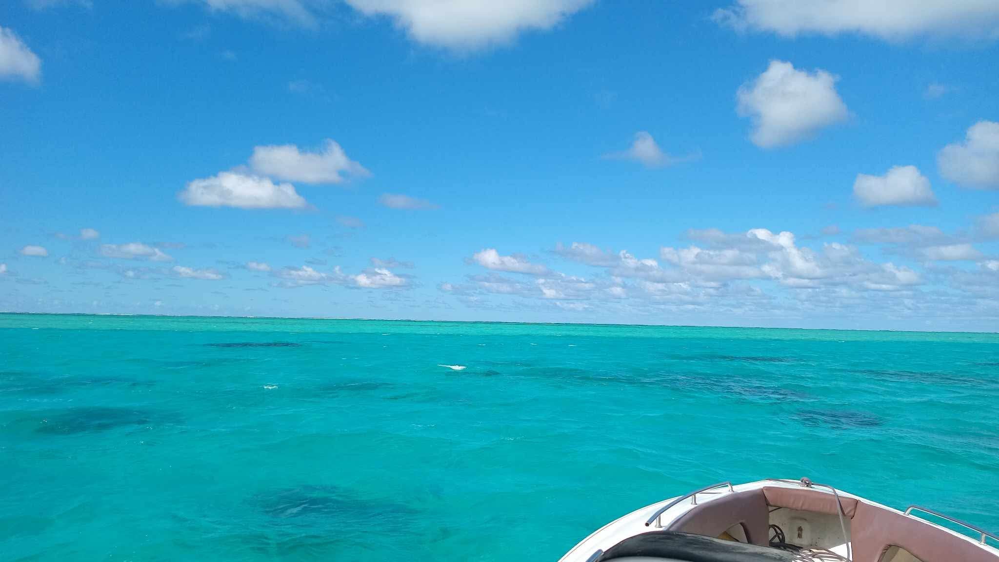 Southeast Cruises Adventure 42