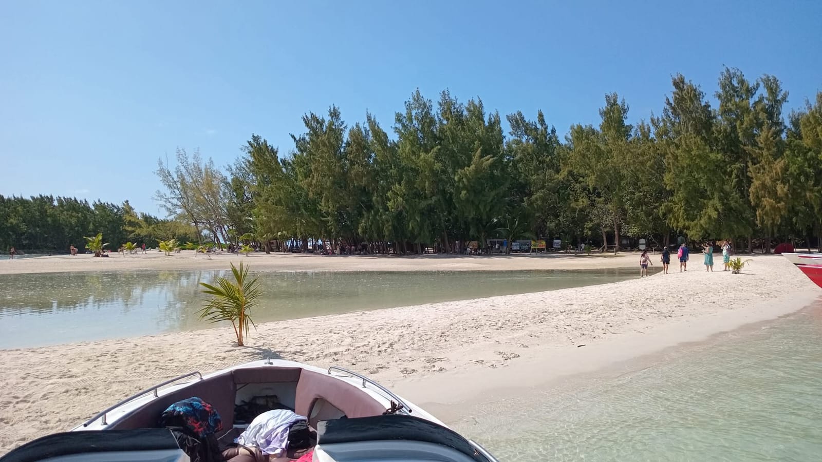 Southeast Cruises Adventure 46