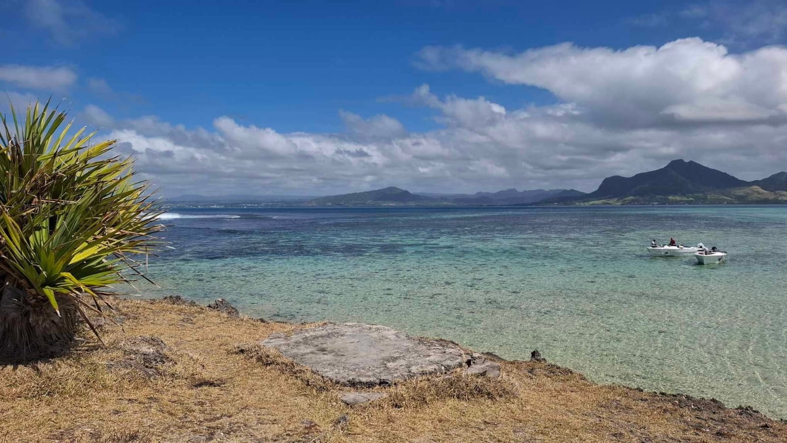 Southeast Cruises Adventure 49