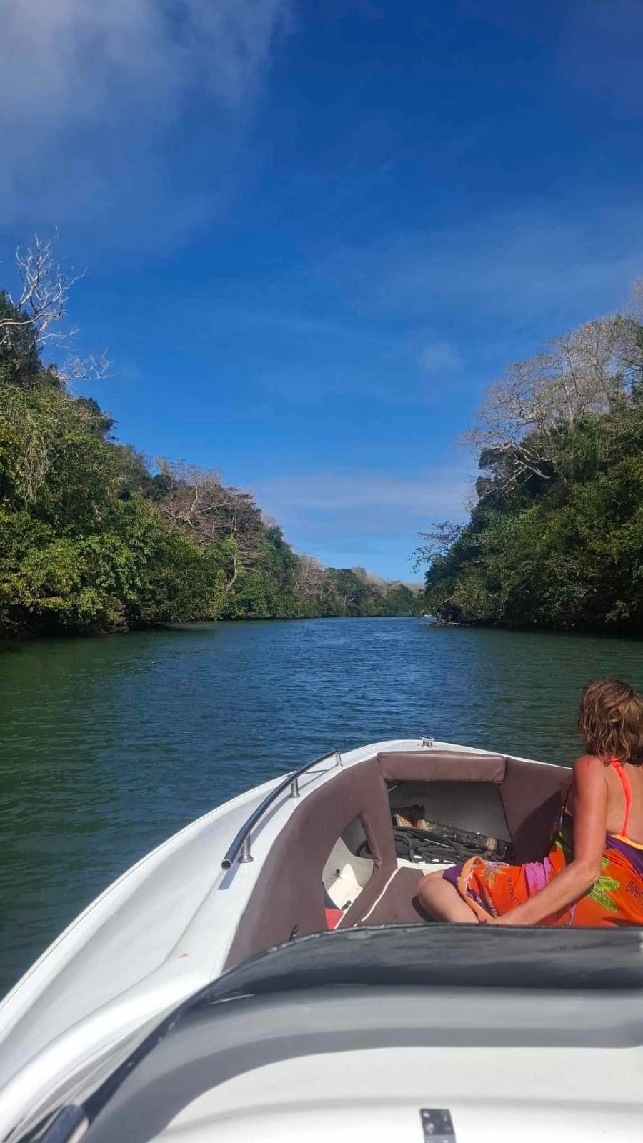 Southeast Cruises Adventure 50