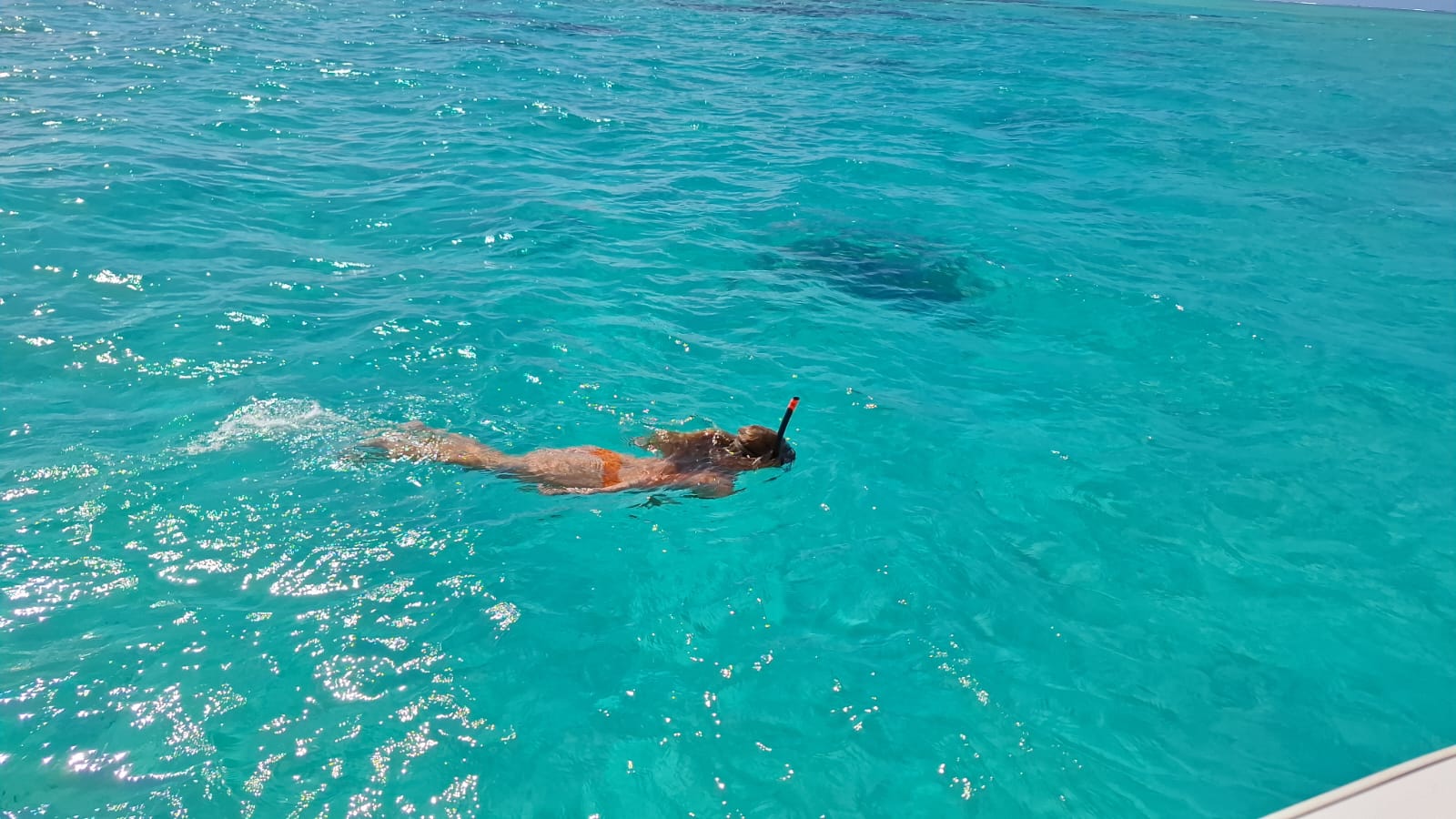 Southeast Cruises Adventure 53