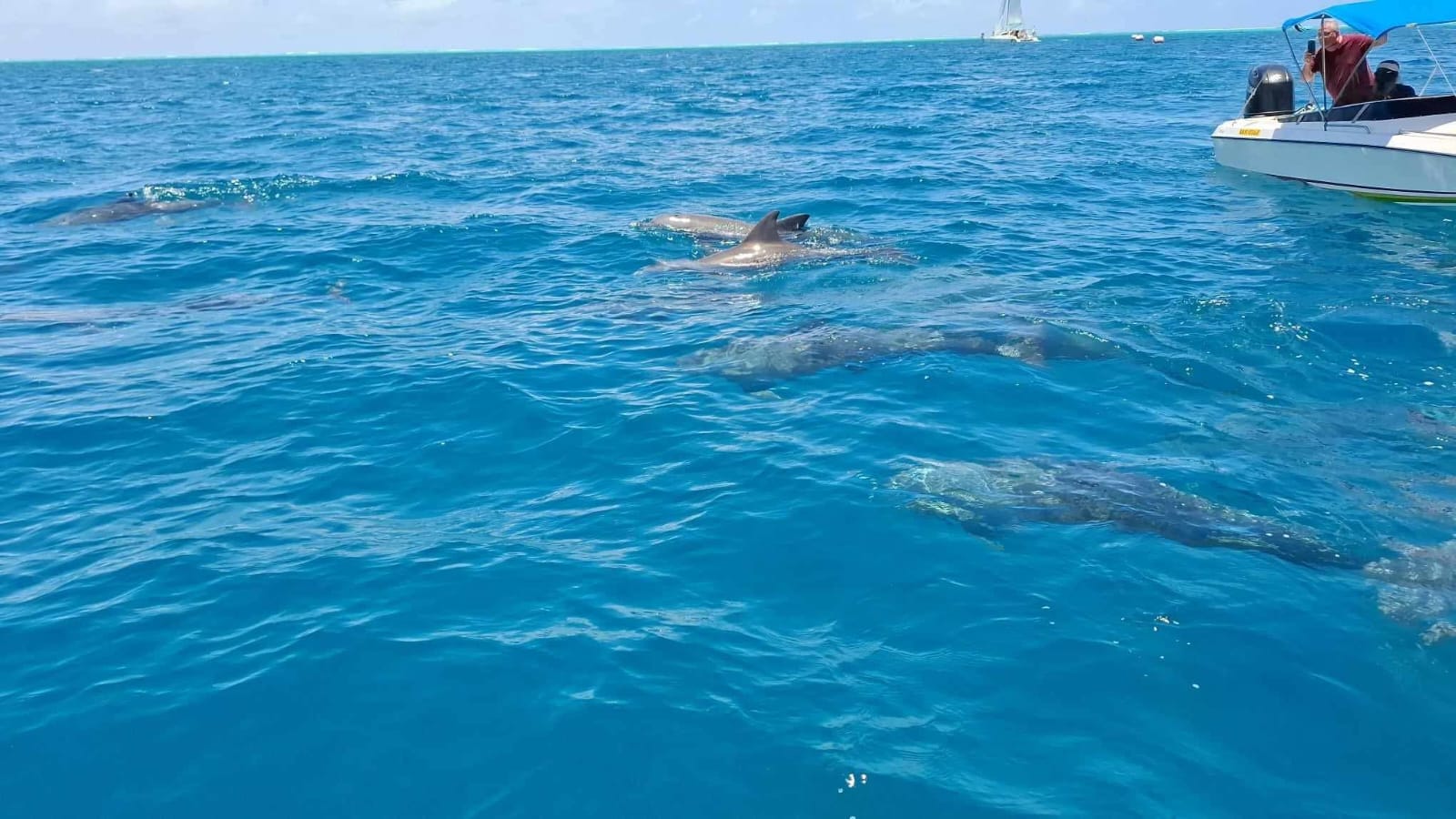 Southeast Cruises Adventure 54