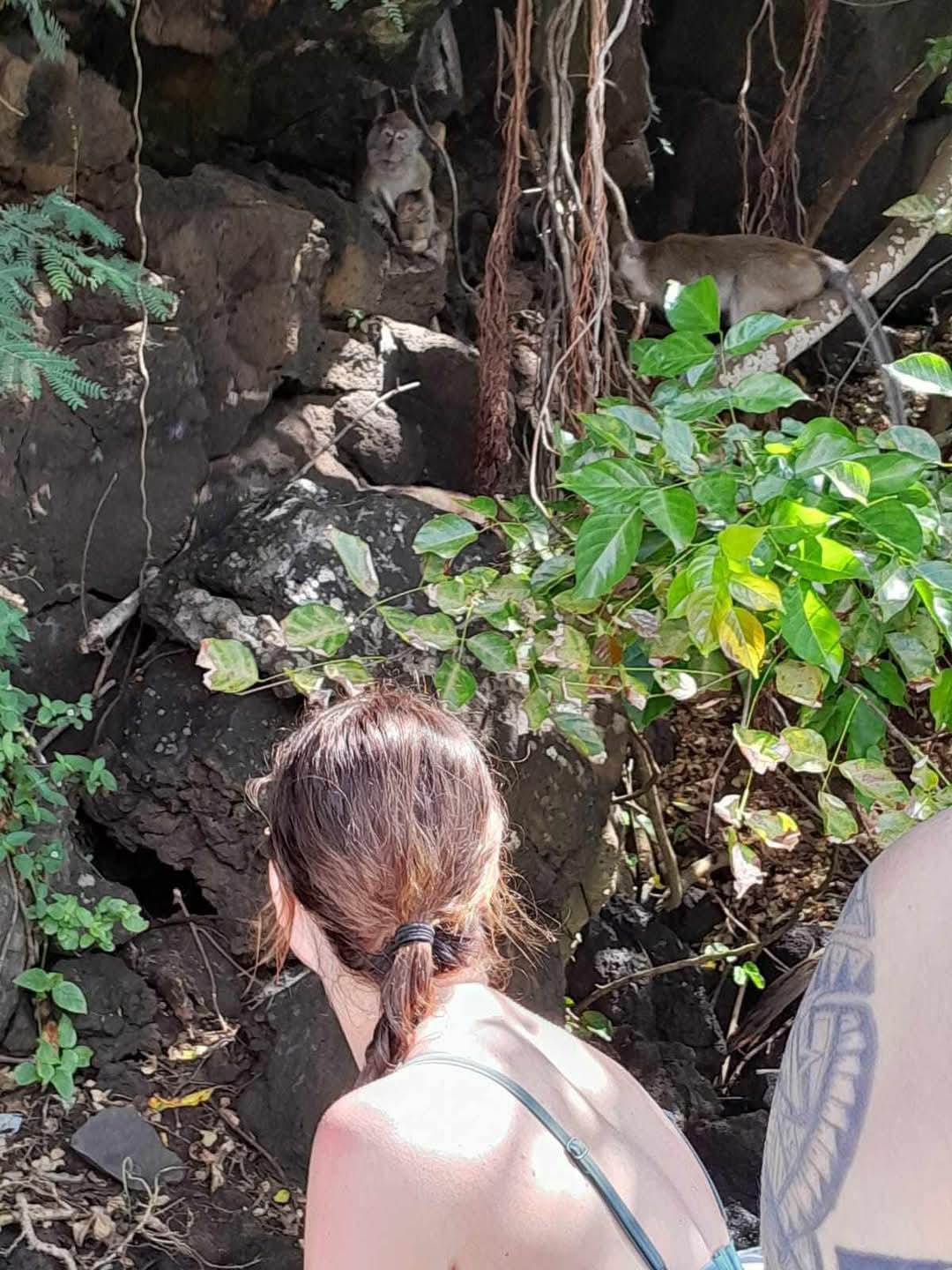 Southeast Cruises Adventure 72