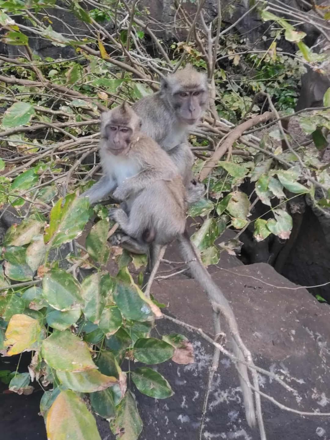 Southeast Cruises Adventure 74