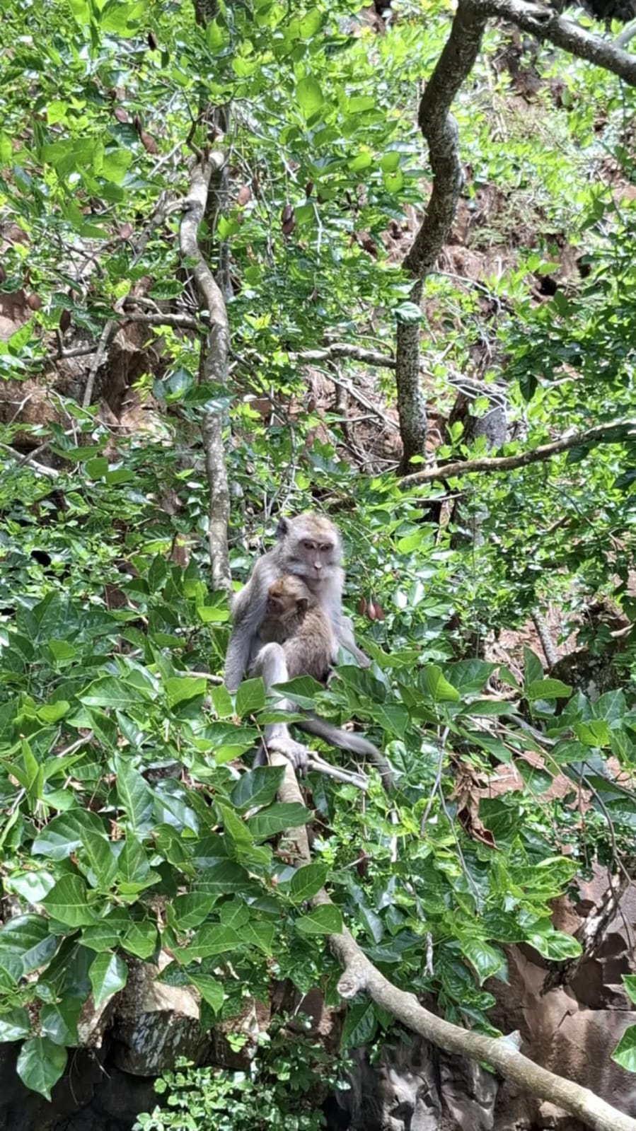 Southeast Cruises Adventure 79