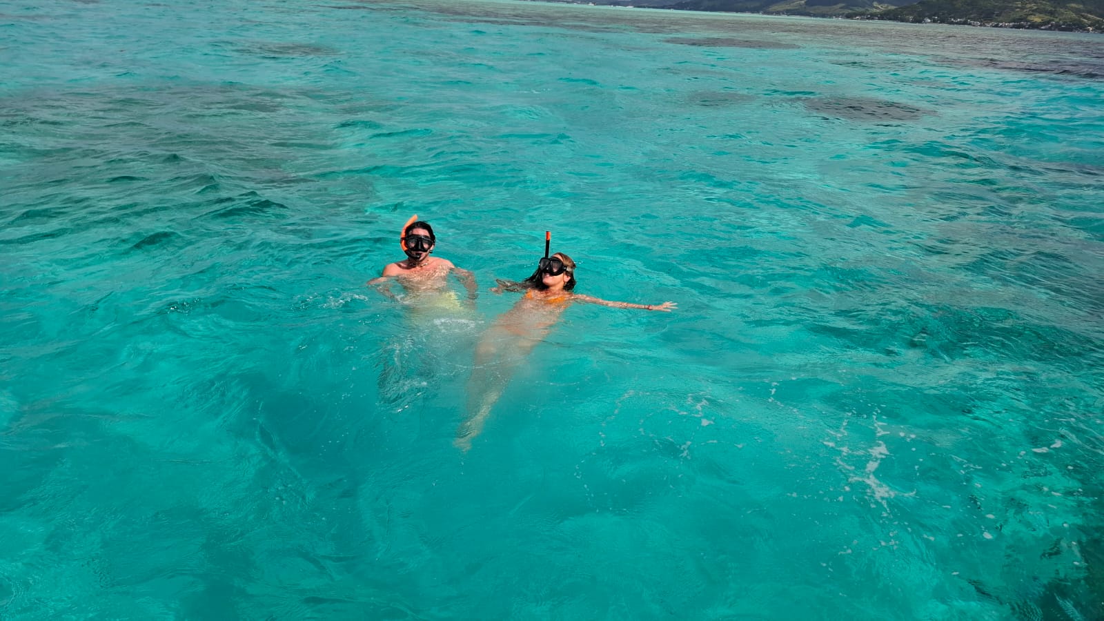 Southeast Cruises Adventure 80