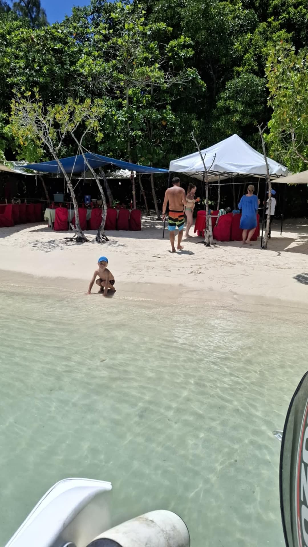 Southeast Cruises Adventure 82