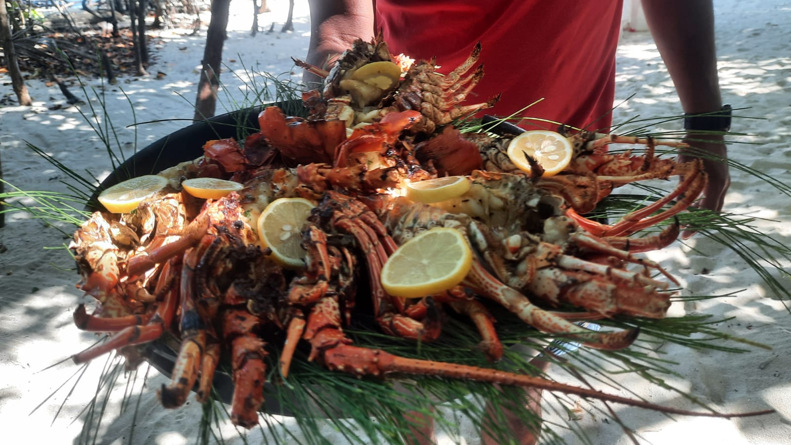 Southeast Cruises Adventure 108