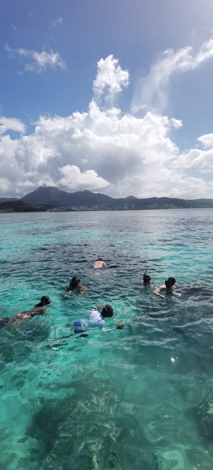 Southeast Cruises Adventure 111